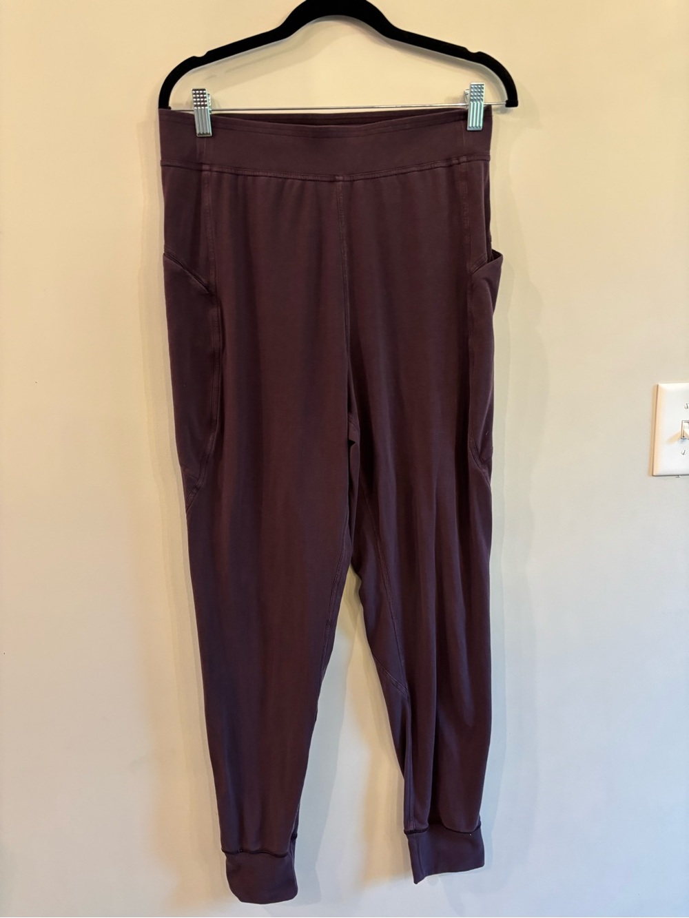 lululemon Align Plum Track Jogger Pants